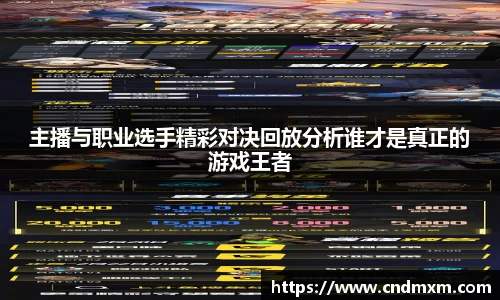 主播与职业选手精彩对决回放分析谁才是真正的游戏王者