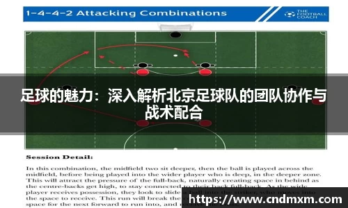 足球的魅力：深入解析北京足球队的团队协作与战术配合
